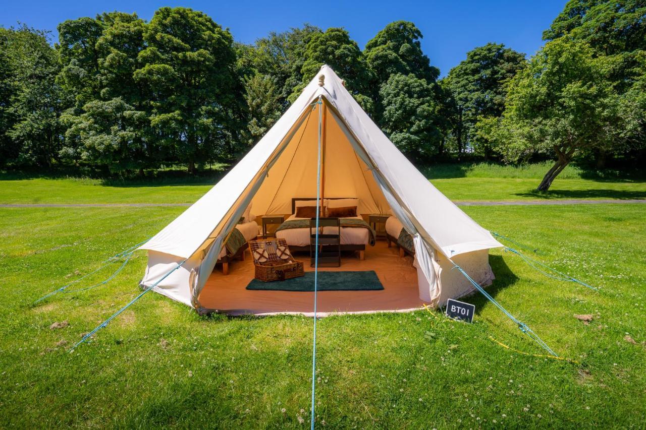 Estate Glamping Village Westport