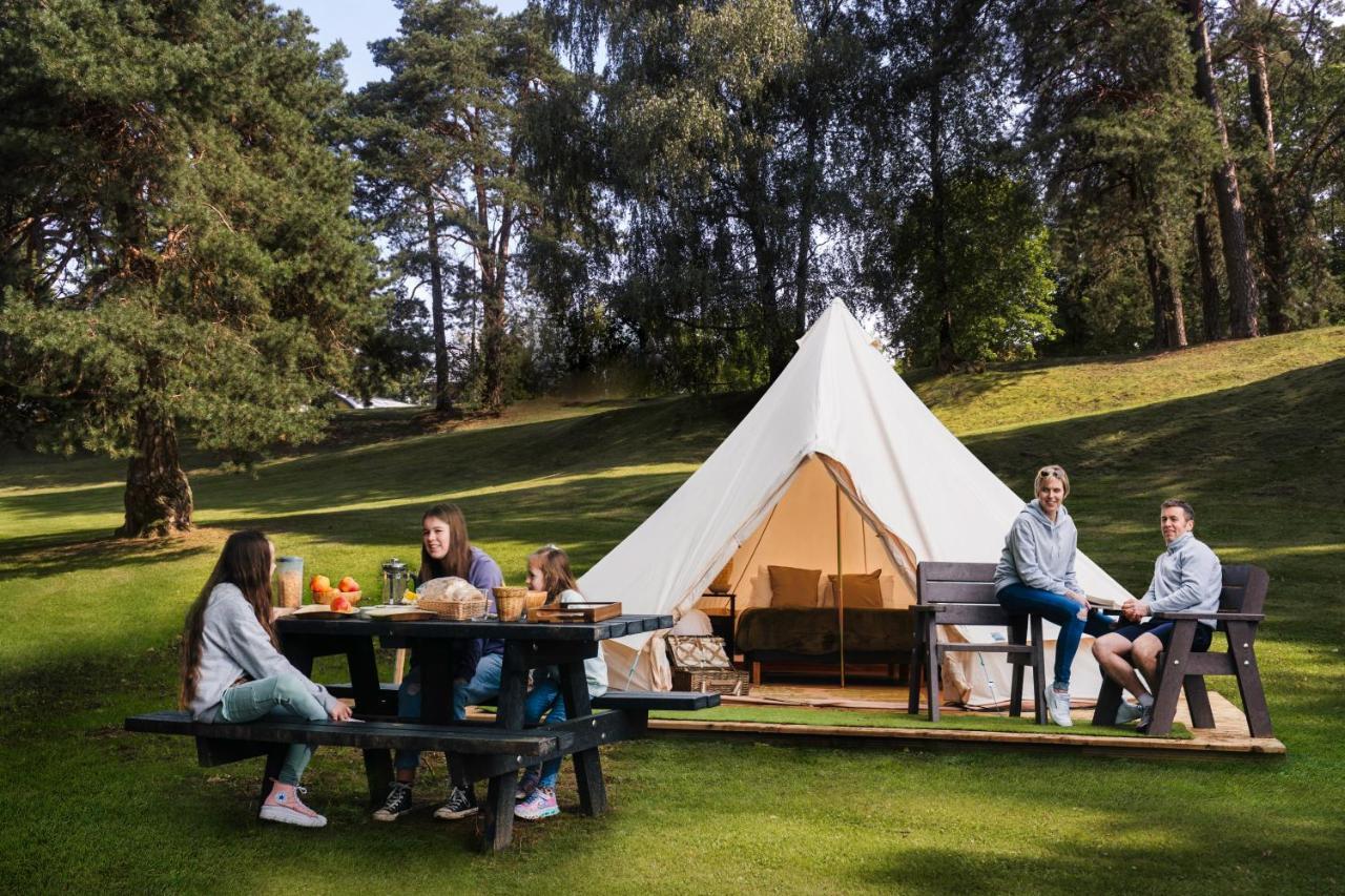 Estate Glamping Village Westport