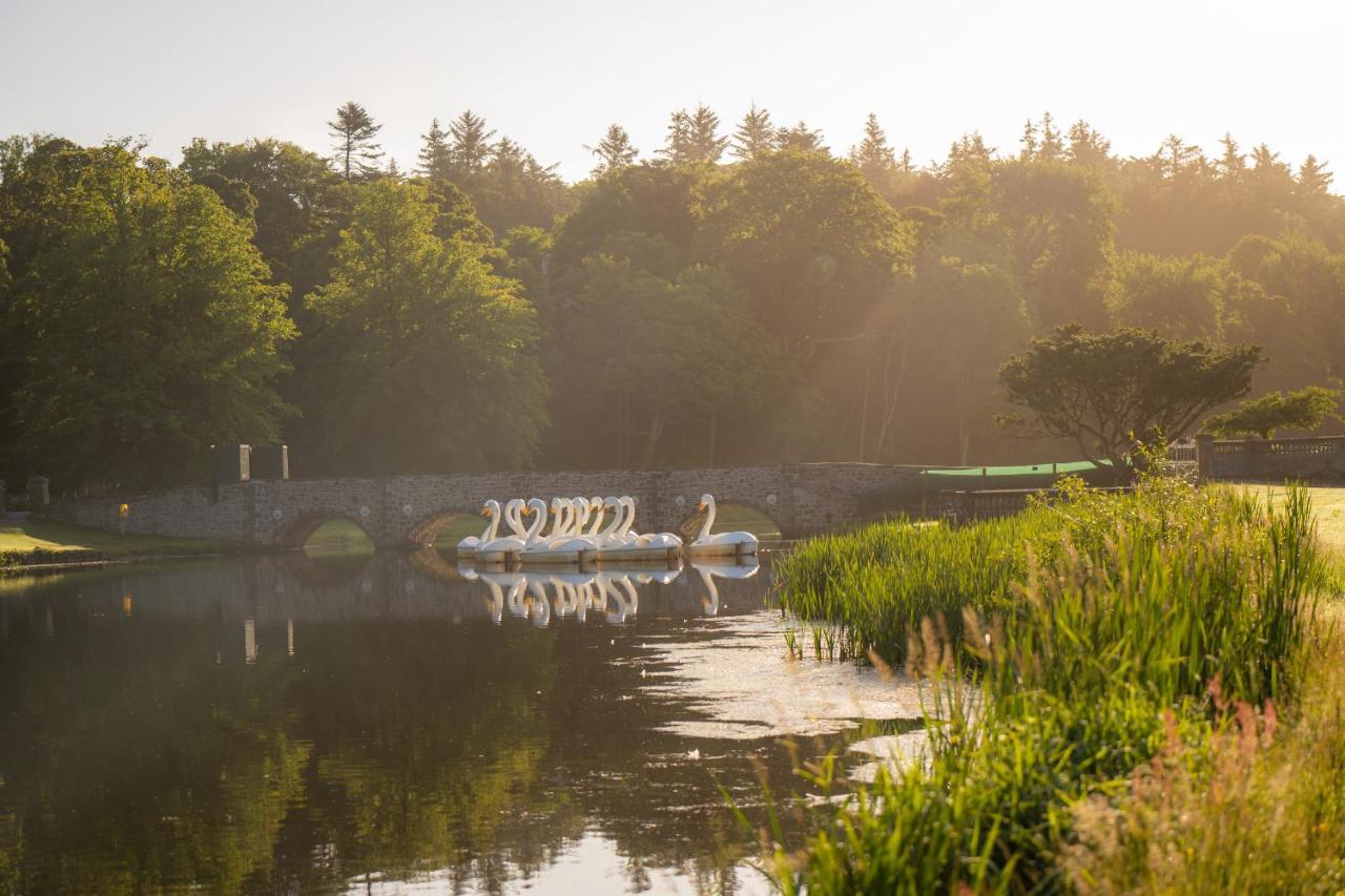 Estate Glamping Village Tente de luxe Westport