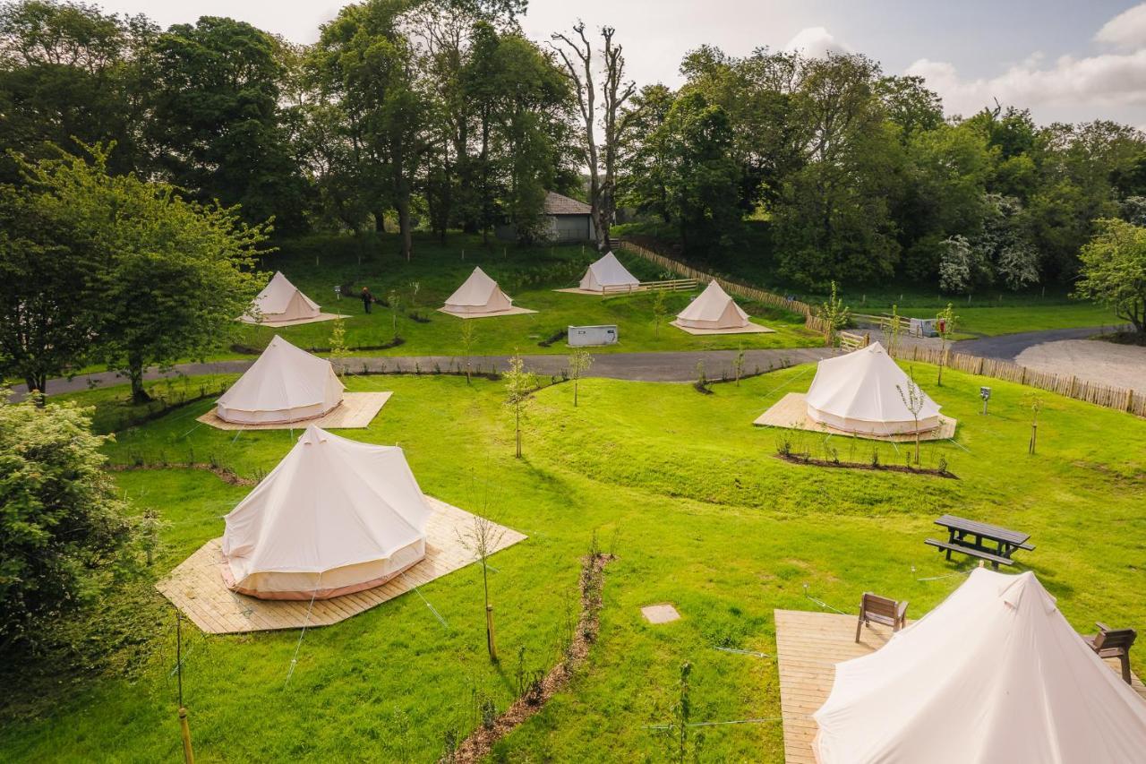 Estate Glamping Village Westport