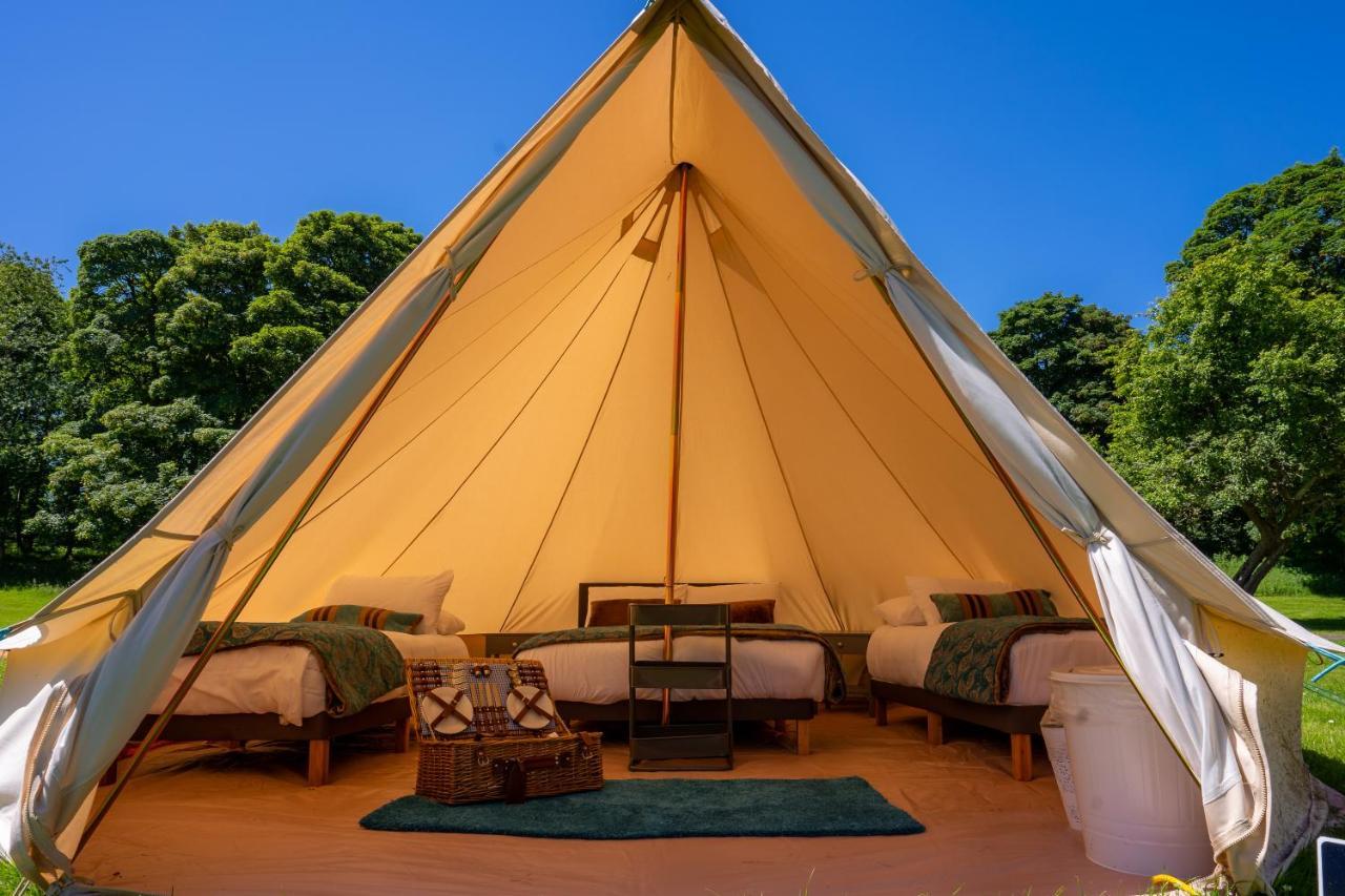 Estate Glamping Village Tente de luxe Westport